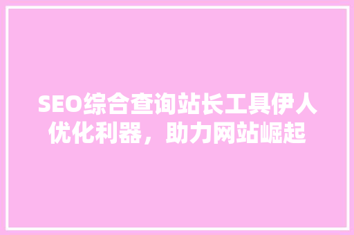 SEO综合查询站长工具伊人优化利器，助力网站崛起