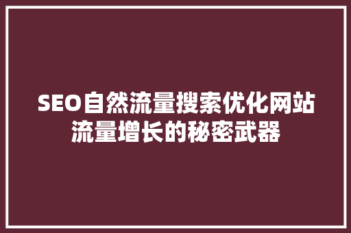 SEO自然流量搜索优化网站流量增长的秘密武器