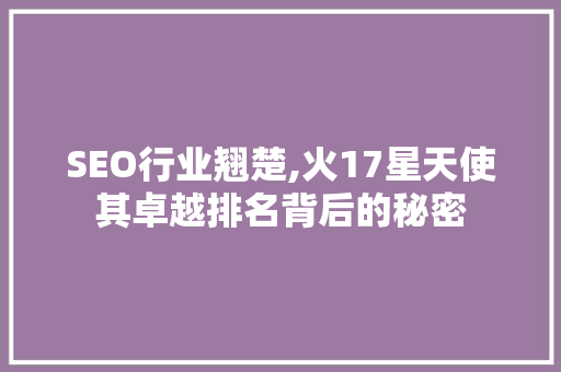 SEO行业翘楚,火17星天使其卓越排名背后的秘密