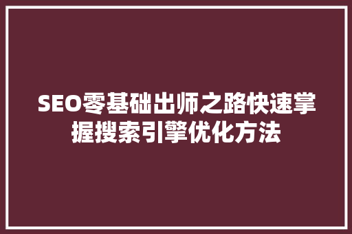 SEO零基础出师之路快速掌握搜索引擎优化方法