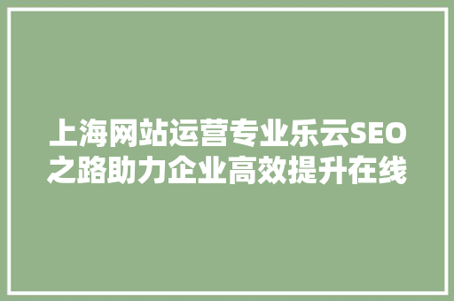上海网站运营专业乐云SEO之路助力企业高效提升在线竞争力