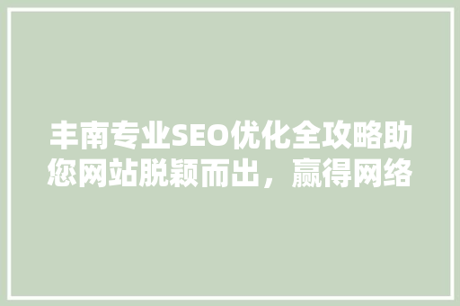 丰南专业SEO优化全攻略助您网站脱颖而出，赢得网络流量