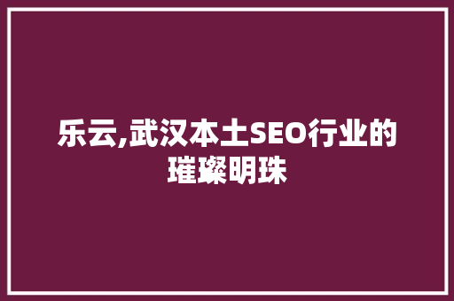 乐云,武汉本土SEO行业的璀璨明珠