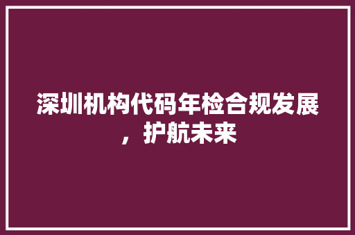 深圳机构代码年检合规发展，护航未来