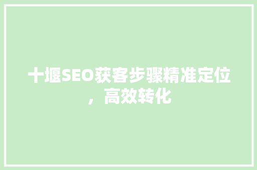 十堰SEO获客步骤精准定位，高效转化