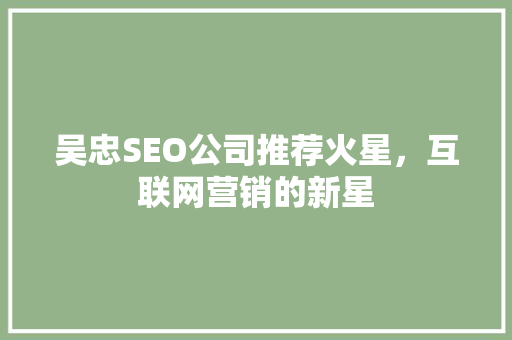 吴忠SEO公司推荐火星，互联网营销的新星