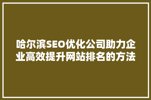 哈尔滨SEO优化公司助力企业高效提升网站排名的方法