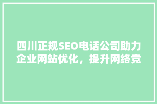 四川正规SEO电话公司助力企业网站优化，提升网络竞争力