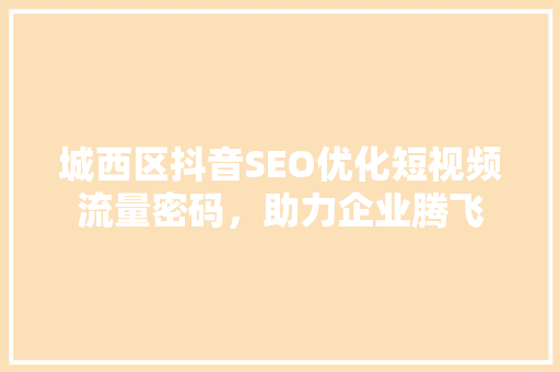 城西区抖音SEO优化短视频流量密码，助力企业腾飞