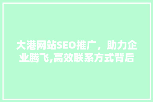 大港网站SEO推广，助力企业腾飞,高效联系方式背后的秘密