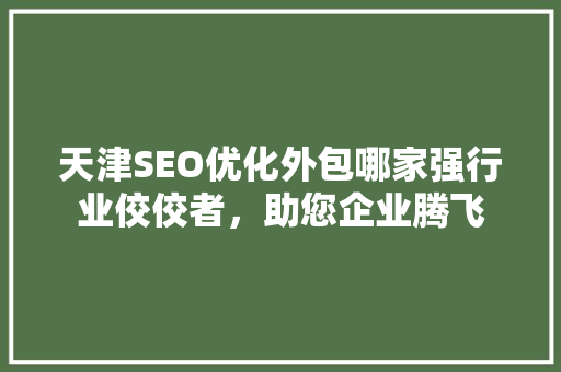 天津SEO优化外包哪家强行业佼佼者，助您企业腾飞