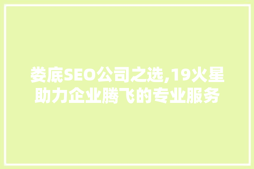娄底SEO公司之选,19火星助力企业腾飞的专业服务