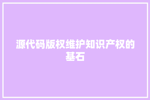 源代码版权维护知识产权的基石