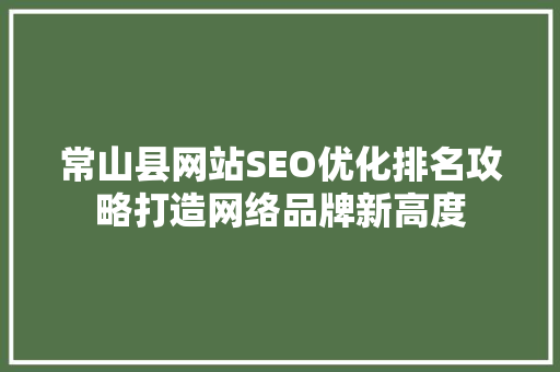 常山县网站SEO优化排名攻略打造网络品牌新高度