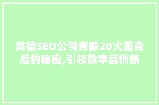 常德SEO公司青睐20火星背后的秘密,引领数字营销新潮流