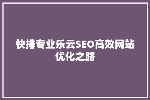 快排专业乐云SEO高效网站优化之路