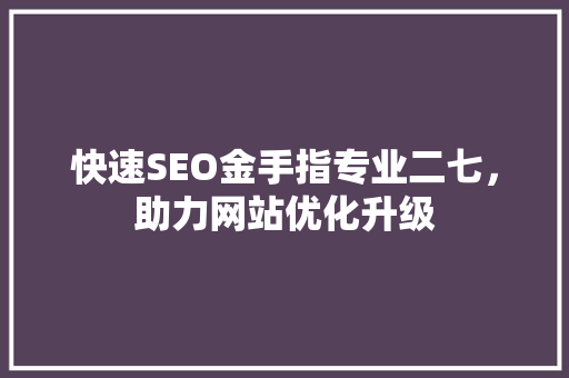 快速SEO金手指专业二七，助力网站优化升级
