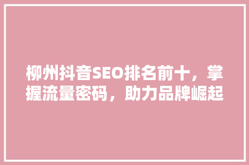 柳州抖音SEO排名前十，掌握流量密码，助力品牌崛起