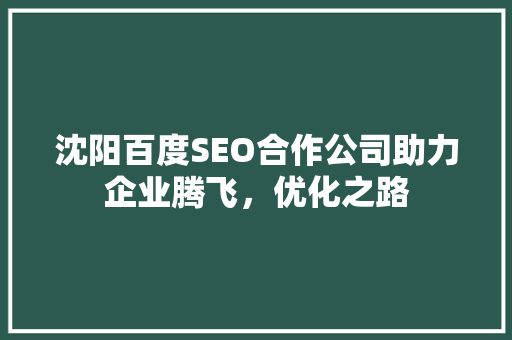 沈阳百度SEO合作公司助力企业腾飞，优化之路