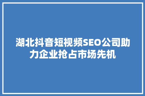 湖北抖音短视频SEO公司助力企业抢占市场先机