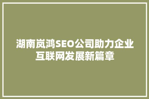湖南岚鸿SEO公司助力企业互联网发展新篇章