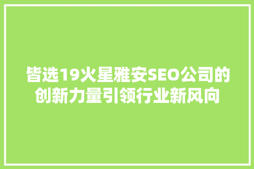 皆选19火星雅安SEO公司的创新力量引领行业新风向