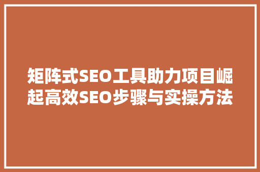矩阵式SEO工具助力项目崛起高效SEO步骤与实操方法