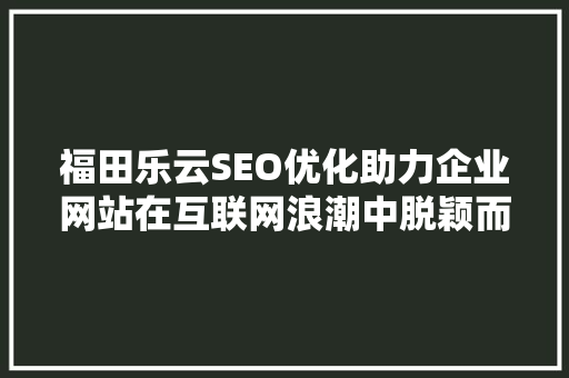 福田乐云SEO优化助力企业网站在互联网浪潮中脱颖而出