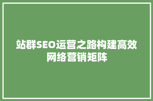 站群SEO运营之路构建高效网络营销矩阵