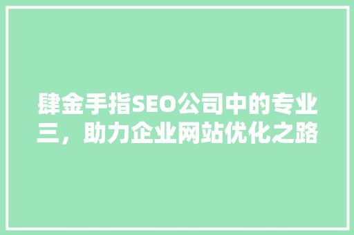 肆金手指SEO公司中的专业三，助力企业网站优化之路