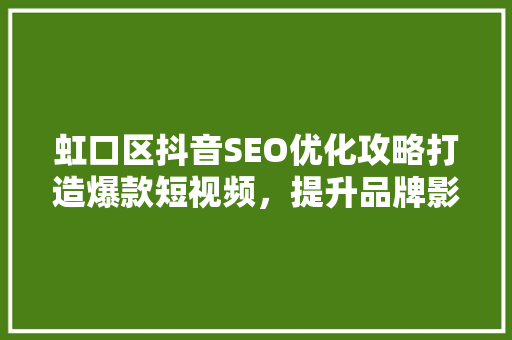 虹口区抖音SEO优化攻略打造爆款短视频，提升品牌影响力