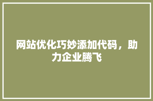 网站优化巧妙添加代码，助力企业腾飞