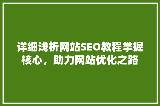详细浅析网站SEO教程掌握核心，助力网站优化之路