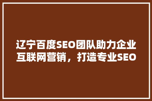 辽宁百度SEO团队助力企业互联网营销，打造专业SEO服务新标杆