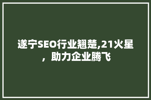 遂宁SEO行业翘楚,21火星，助力企业腾飞