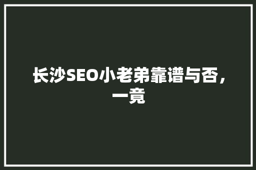 长沙SEO小老弟靠谱与否，一竟
