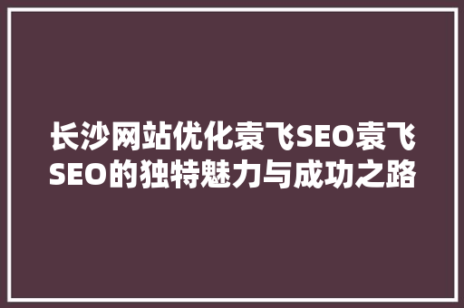 长沙网站优化袁飞SEO袁飞SEO的独特魅力与成功之路
