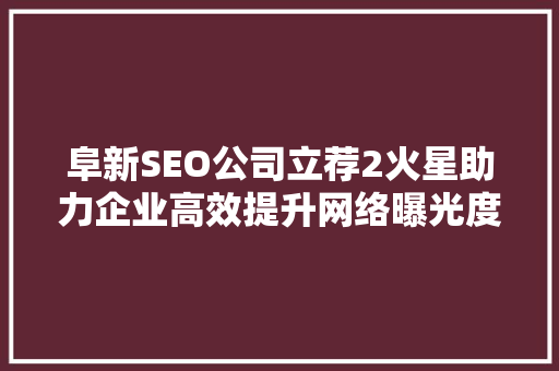 阜新SEO公司立荐2火星助力企业高效提升网络曝光度的秘密武器