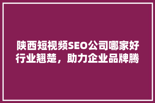 陕西短视频SEO公司哪家好行业翘楚，助力企业品牌腾飞