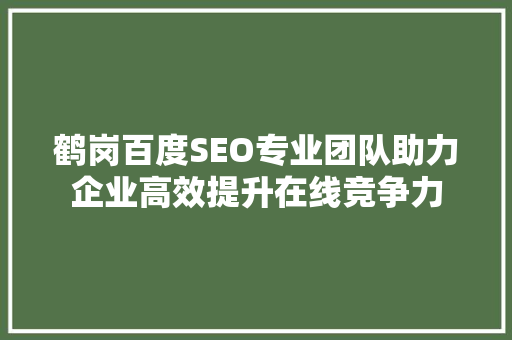 鹤岗百度SEO专业团队助力企业高效提升在线竞争力