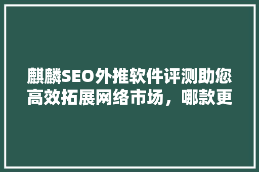 麒麟SEO外推软件评测助您高效拓展网络市场，哪款更胜一筹