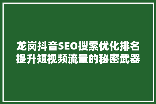 龙岗抖音SEO搜索优化排名提升短视频流量的秘密武器