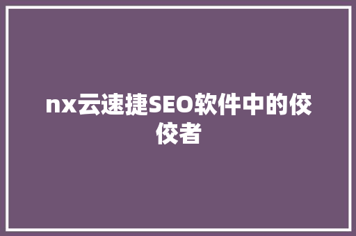 nx云速捷SEO软件中的佼佼者
