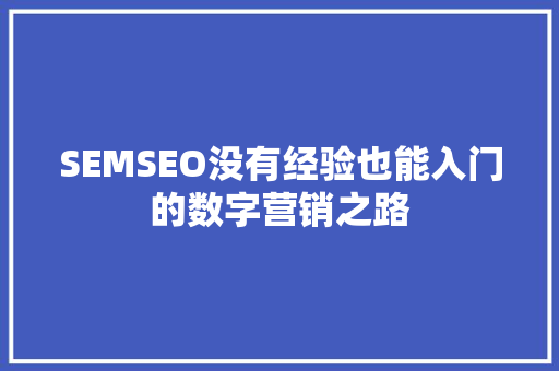 SEMSEO没有经验也能入门的数字营销之路