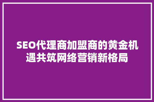 SEO代理商加盟商的黄金机遇共筑网络营销新格局