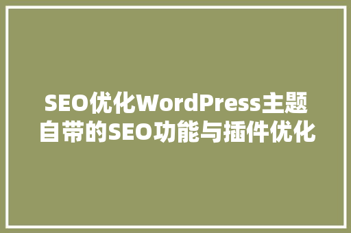 SEO优化WordPress主题自带的SEO功能与插件优化，哪个更适合你的网站