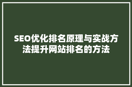 SEO优化排名原理与实战方法提升网站排名的方法