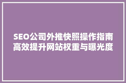 SEO公司外推快照操作指南高效提升网站权重与曝光度