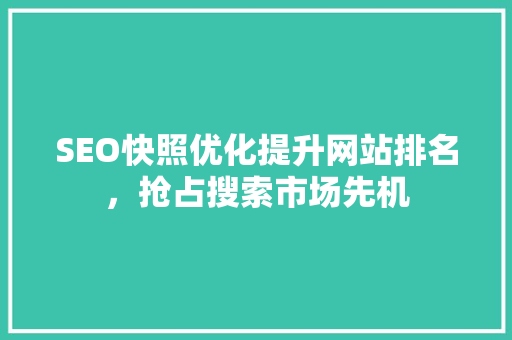 SEO快照优化提升网站排名，抢占搜索市场先机