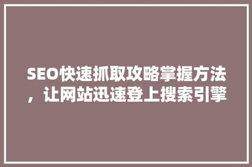 SEO快速抓取攻略掌握方法，让网站迅速登上搜索引擎首页